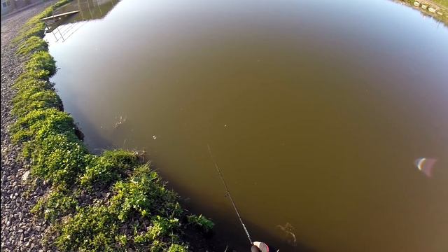 Ловля на воблер Aiko TinyChick. смотреть онлайн