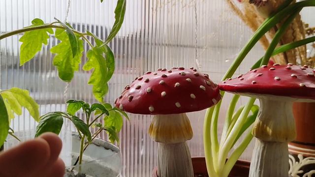 🍄 Фикс Прайс новинки ❤️ Мои покупки🥰пишу картины! смотреть онлайн