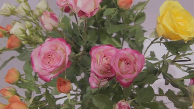 Кустовая роза микс смотреть онлайн