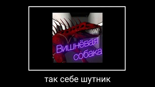 Pov: Ютуберы scp classified site комьюнити feat. @genik201 смотреть онлайн