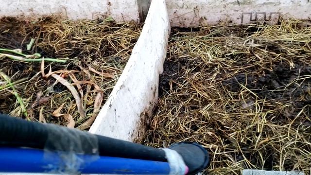 Разведение червей для рыбалки в буртах смотреть онлайн
