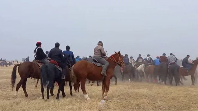 Асп Бо Номи Точмахал Аспи Хочи Зокирхуча аз Д Хочахо Бахтовар Полвон Д Хочахо смотреть онлайн