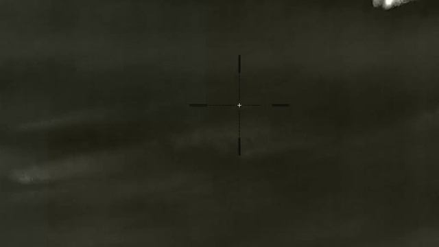 Тепловизор iRay Geny GL 35 #2 Лось смотреть онлайн