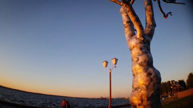 Видео тест объектива для телефона рыбий глаз, широкоугольный объектив и макро объектив смотреть онлайн