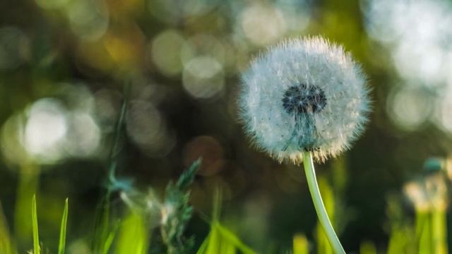 Релакс музыка красивая и успокаивающая для отдыха и настроения смотреть онлайн