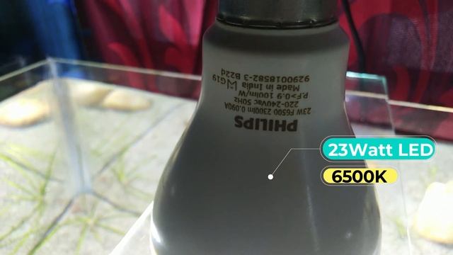 No filter, No CO2, No fert | Low tech tank – Making + 1week update (River bed Scape) смотреть онлайн