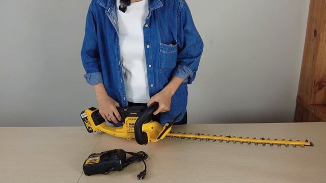 Máy Tỉa Hàng Rào Dùng Pin DeWALT DCHT820 - Nhập Khẩu Mỹ 100% смотреть онлайн