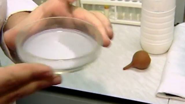 Молоко и йогурты: от коровы до прилавка смотреть онлайн