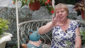 Монилиоз яблони ➡ Боремся с опасным заболеванием