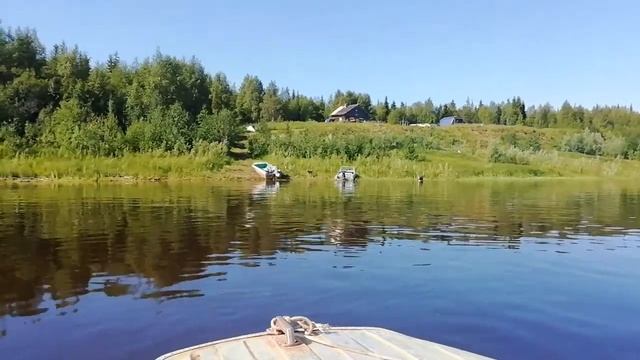 Казанка 5м4. Приехали кормить собак смотреть онлайн