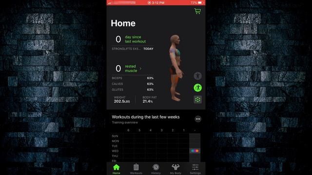 Gymaholic Workout App | My Review in under 5 mins смотреть онлайн