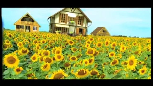реклама майон смотреть онлайн