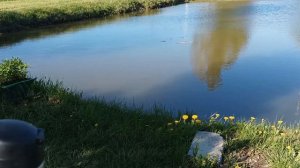 Уровень pH после внесения извести в пруд. 18.05.2022.