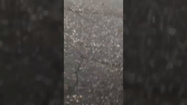 Видео моей сестры: она и её подруги пытаются раздавить лизун из МАГНТ КОСМЕТИК