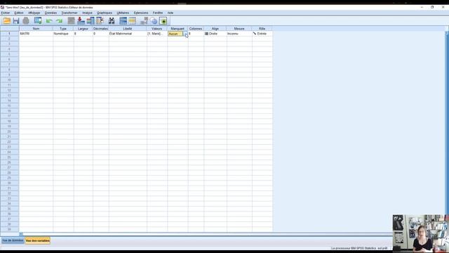 Capsule 5 : Créer une base de données SPSS manuellement смотреть онлайн