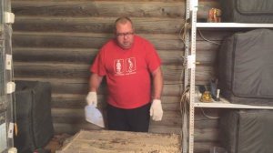 Разведение перепелов как бизнес. А нужен ли такой?