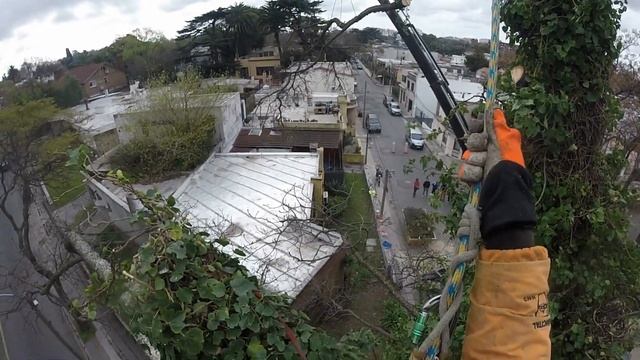 Stihl 193T, 5 años, 2 caidas desde el arbol y como el primer dia. смотреть онлайн