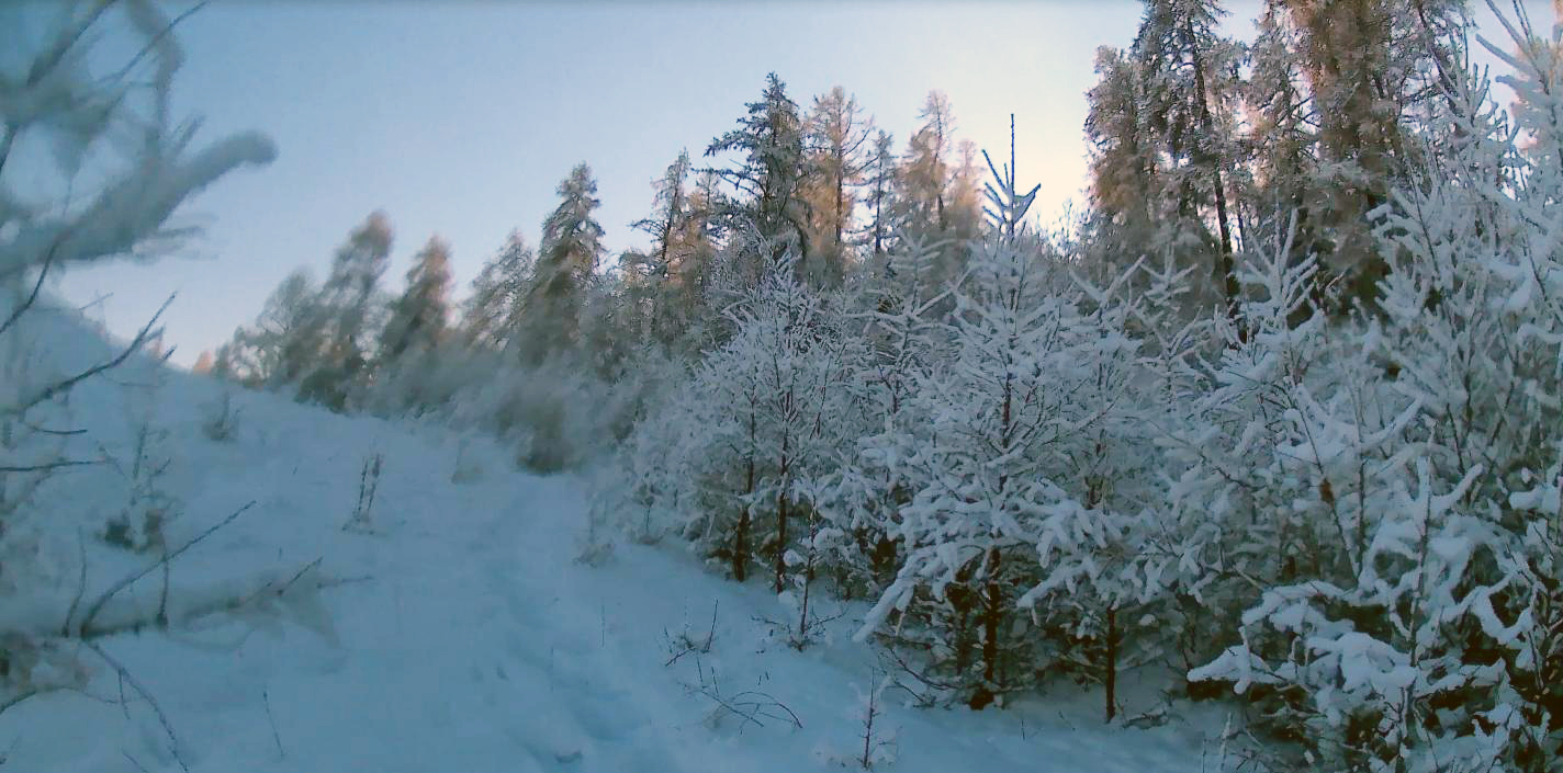 Поход зимой в лес.Сьемки экшен камерой смотреть онлайн