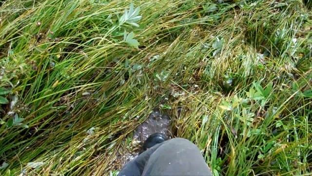 ДИКИЕ ТРОПЫ 2020, 1место . Нива может. (+испытания Блокки , КПП6,9 ) смотреть онлайн