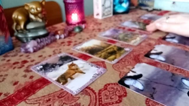 ТАЙНА КОТА. ЧТО в его душе?! ? смотреть онлайн