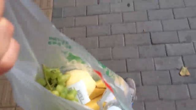 Из Монголии во Владивосток через Китай [ч.3] / Храм Неба / Скорпионы на палках / maps.me подвели смотреть онлайн