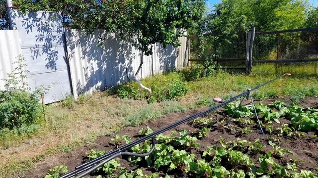Самодельная широкозахватная система полива овощей