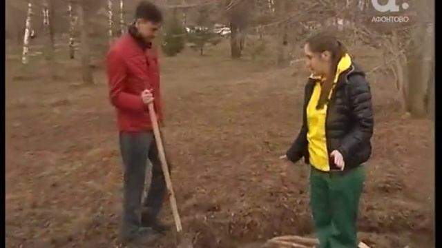 Включение. Как правильно разводить костры смотреть онлайн