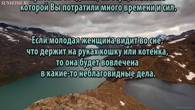 К чему снятся Кошки сонник, толкование сна смотреть онлайн