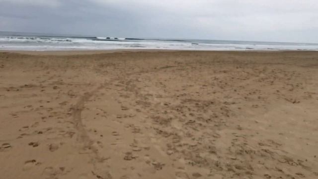 Море и пляж в Анапе напротив Дельфинария! смотреть онлайн