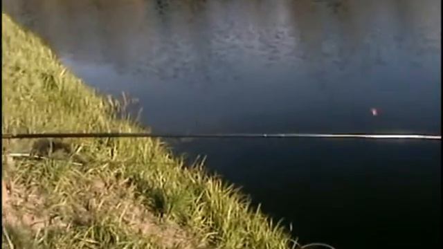 Платный пруд у фермера смотреть онлайн