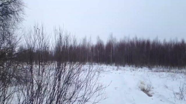 Катание в Эко-усадьбе "Рожство" на болотоходе смотреть онлайн
