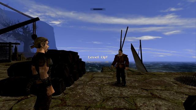 Gothic II Gold: Lares beating up Moe смотреть онлайн