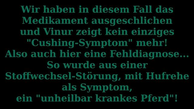 VINUR, Oder Des Langen Leides Ende!
