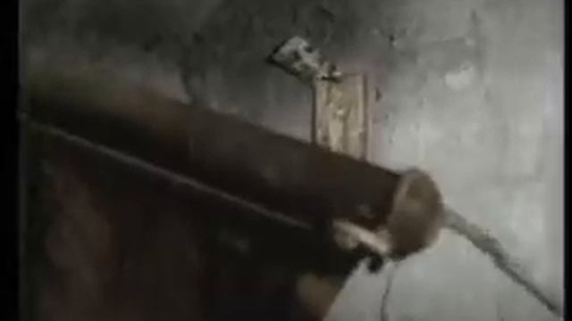 Il Santo Ingegnere. Voci e testimonianze dalla storia смотреть онлайн