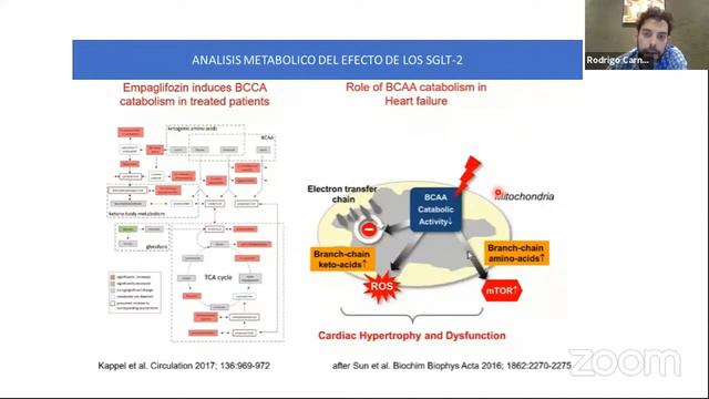 ACTUALIZACIÓN EN DIABETES. Inhibidores De SGLT2, Desde Su Acción A La Aplicación Clínica En DBT2.
