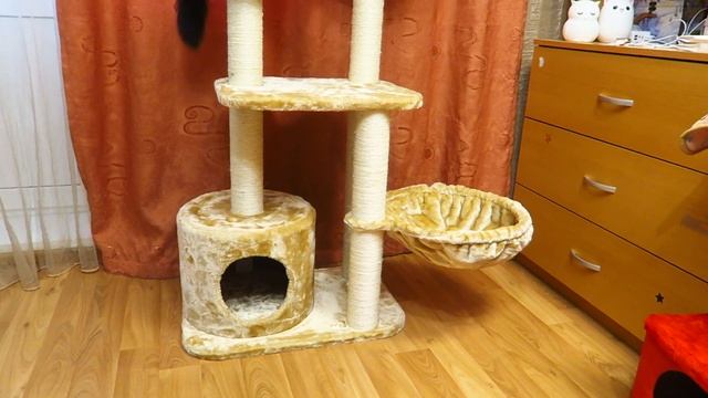 Мои покупки января на Озон / Четыре лапы / Икеа смотреть онлайн