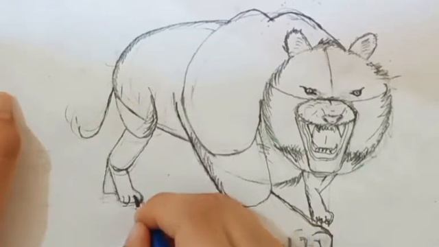 real sketch of tiger and do not skip this video смотреть онлайн