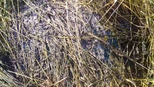 Эпопея с сеном))???Плесень в сене. смотреть онлайн