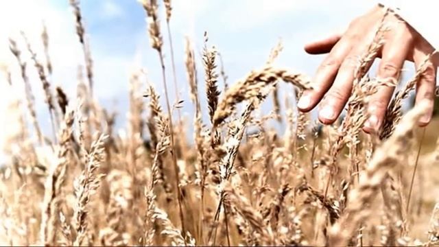 Моральный кодекс - ГДЕ ТЫ (кавер Савченко Дмитрий) смотреть онлайн