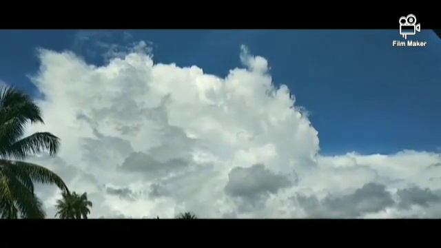 AL MAHDI channel (Krishna flute Music) " Basu Dewa Epiphyllum Anguliger " Forming clouds -Avatar- смотреть онлайн