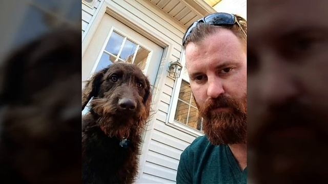 Собаки похожие на своих хозяев. смотреть онлайн