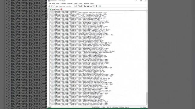 BLIIOT Technology ARM Edge Computer BL302 Tutorial 5: Python Installation смотреть онлайн