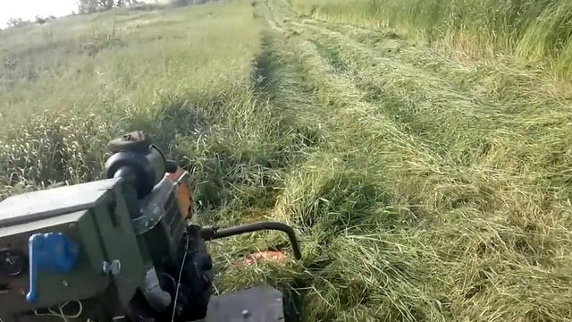 покос травы на сено мотоблоком Зирка смотреть онлайн