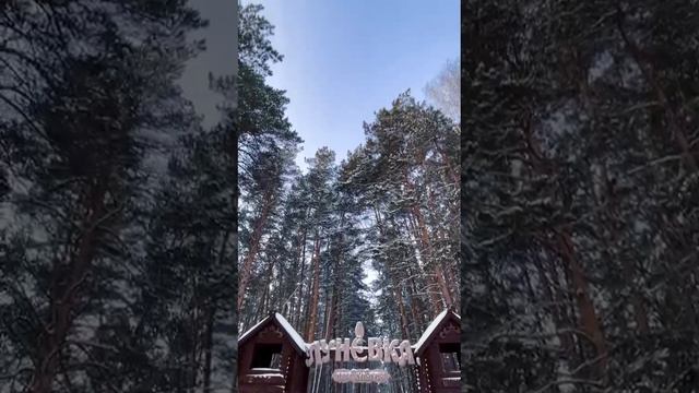 ЗАВОЛОКИНСКИЕ МЕСТА смотреть онлайн