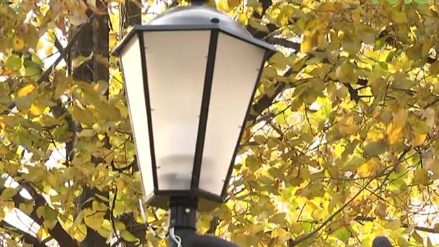 Основные работы в Струковском саду завершат к середине ноября смотреть онлайн