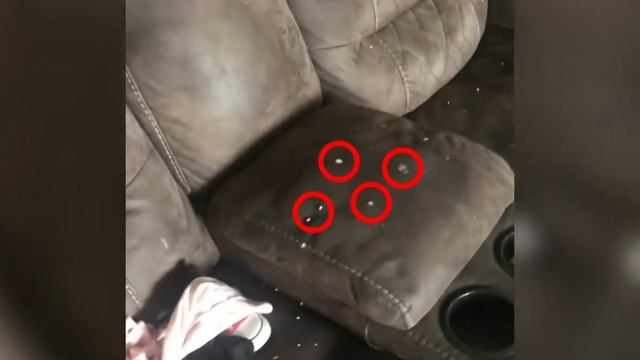 He Found 45 Rattlesnakes Under the Floor Of His House, You Won’t Believe What He Did With Them! смотреть онлайн