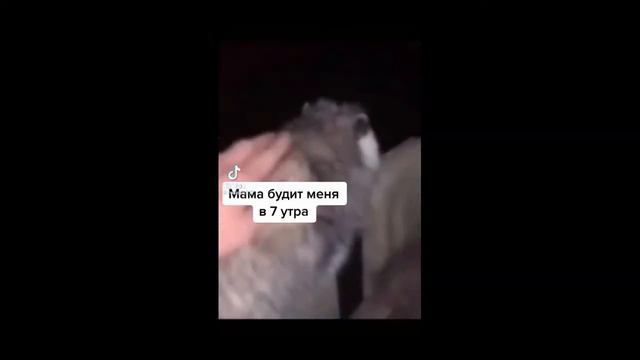 Тик ток при температуре 42 смотреть онлайн