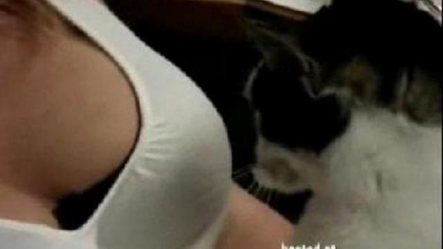 Кот сразу видно мужиг. смотреть онлайн