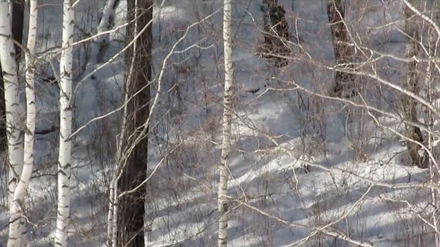 Такмак, Ермак и Китайская стенка смотреть онлайн