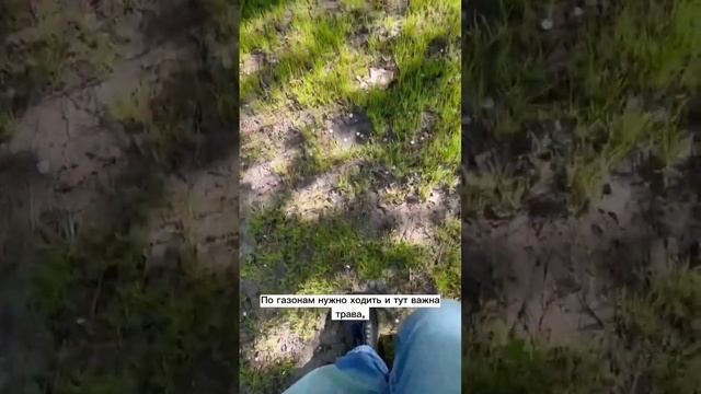 Какая поверхность полезна для ходьбы? #ходьба #здоровье #ортоформа #юрийкриво #полезнознать #важное смотреть онлайн